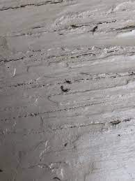 I've recently had a large deck built by a professional decking company. Small Bugs All Over Deck Railing 465042 Ask Extension