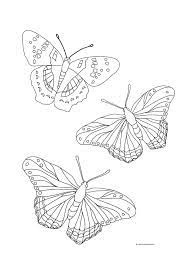 Coloring Page Of A Butterfly Youngandtae Com Butterfly Coloring Page Free Coloring Pages Shape Coloring Pages
