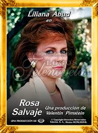 Les tengo este poster con la actriz y también escritora Liliana Abud, quien  en ese entonces daba vida a Cándida Linares en la telenovela ROSA SALVAJE  (1987-88). Es la hermana menor de