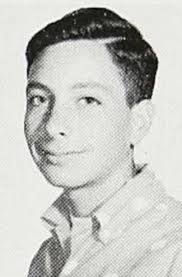 Pinna Family History: Last Name Origin & Meaning