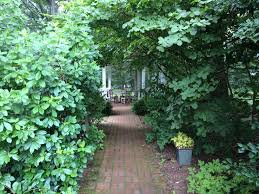 How to become an herbalist. How To Become An Herbalist In Nj Arxiusarquitectura