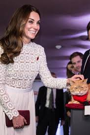 news im video herzogin catherine trauert um bob den streuner gala de