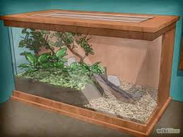 Pin On Pet Mantis Care