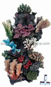 We did not find results for: China Aquarium Polyresin Coral Decoration Large Artificial Coral China Aquarium Coral And Pvc Coral Price