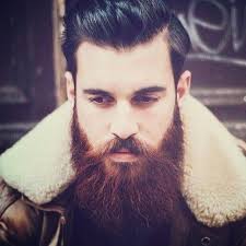 Dark Hair Red Beard Beard Look Beard No Mustache Beard Hairstyle