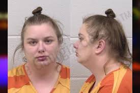 Beth Mote — Paulding County Jail Bookings
