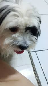 ZOO SOROCABA-SP & REGIÃO