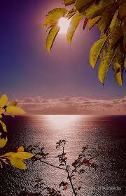 Opening Sunrise Linda By Scott D Almeida Beautiful Nature Nature Sunrise