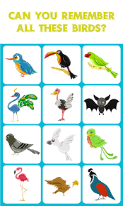 Birds In My Area App Birds Match Memory Game Is A Concentration Style Educational Memory Game For Kids And Adults To Memory Games Educational Games For Kids Memory Games For Kids
