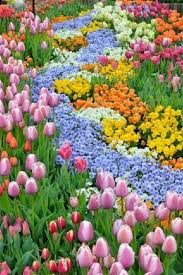 Pictures Fabulous Designs Garden Decors Bulb Andfabulous Bulb Garden Designs And Decors Flower Garden Design Beautiful Flowers Beautiful Flowers Garden
