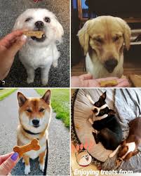I have them on naturvet all in one supplement powder, the calcium analysis in this supplement is 68mg per 2tsps. Vegan Pumpkin Dog Treats 4 Ingredients Okonomi Kitchen