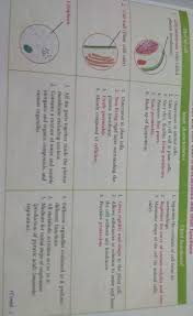 Maybe you would like to learn more about one of these? Write A Short Note On The Structure And Organelles Of The Animal Cell Within 100 150 Words Brainly In