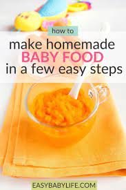 How To Make Baby Food In A Few Easy Steps Baby Food Recipes Easy Baby Food Recipes Diy Baby Food