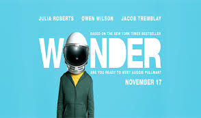 Wonder movie reviews & metacritic score: Auggie Wonder Film Quotes 94 Quotes
