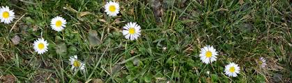 Austria, sankt leonhard im pitztal, tieflehn 47. Appartement Bergheim Im Otztal Tirol