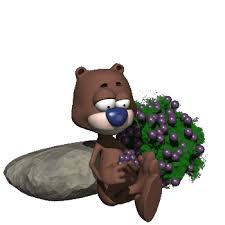 Https Encrypted Tbn0 Gstatic Com Images Q Tbn 3aand9gct Qfpx5 0leimgmh9w1yhpng8wbvecqngsqg Usqp Cau