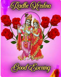 Radhe Krishna 🙏🙏 Good evening 😊💐