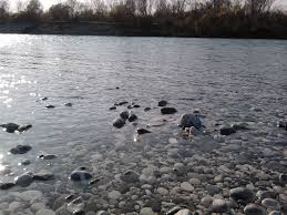 Osservazioni al progetto estrazione ghiaia da Isonzo / Turriaco