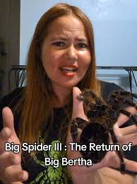 Big Bertha Returns: The Giant Spider Adventure