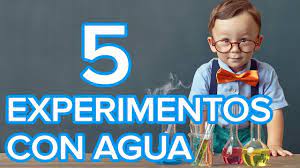 We did not find results for: 5 Experimentos Con Agua Para Ninos Ciencia Divertida Youtube