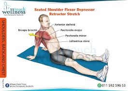 Pin By Hanne Stryhn On Exercise Stretching Yoga Anatomy Biceps Brachii Yoga Therapy