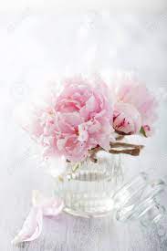 Check spelling or type a new query. Beautiful Pink Peony Flowers Bouquet In Vase Stock Photo Picture And Royalty Free Image Image 32509267