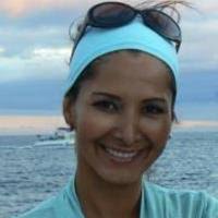 PDF) Shark interactions in pelagic longline fisheries