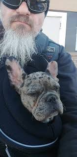 Kids bikes with suspension forks