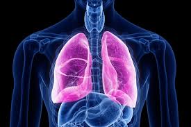 Image result for Acute Bronchitis