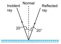 What Is Reflection Of Light A Plus Topper In 2020 What Is Reflection Light Reflection Reflection