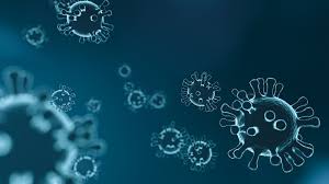 Deze regels gelden vanaf de invoering van de gedeeltelijke lockdown van 14 oktober 2020. Coronavirus Blosse