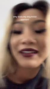 Meet Swag Money McGee: The Multilingual Dog from Coco!