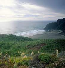 Karekare Beach New Zealand Home Of Peace Beauty All Around Me New Zealand Beach New Zealand Travel Beautiful Places In The World