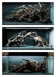 Aesthetically Pleasing Natural Wood For Vivariums Or Aquariums Aquascaping Aquarium Ikan Aquarium Air Tawar