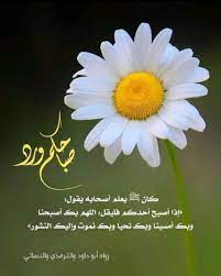 pin by هبة ابو النيل on صباح الخير good morning in 2021 good morning photos photo and video photo