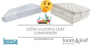 Leesa Vs Loom And Leaf Mattress Comparison 2021