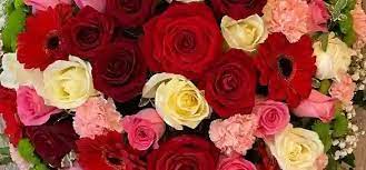 19 معلومة يجب أن تعرفها عن ورود جميلة مع كلام جميل متحرك اليوم ورود جميلة مع كلام جميل متحرك in 2021 red roses rose flowers