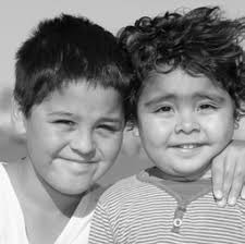 ANNUAL REPORT 2016 IMMIGRANT LEGAL ADVOCACY PROJECT