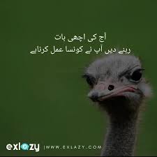 A lot of people share their feelings with friends and family members through urdu poetry. The 50 Best Urdu Whatsapp Status In Urdu Font Exlazy