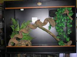 30 fish tank decorations ideas; Realistic Fish Tank Decorations Pasteurinstituteindia Com