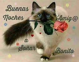 Pin En Imagenes Con Frases