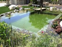 Natural Pools Build Your Own Swimming Pondla Membrana Epdm Es La Natural Swimming Pools Natural Pool Swimming Pool Pond