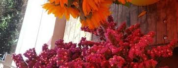 Maybe you would like to learn more about one of these? The 15 Best Places For Flowers In Downtown Los Angeles Los Angeles