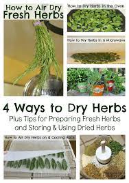How To Dry Herbs Including How To Prepare Fresh Herbs Air Drying Herbs How To Dry Herbs In A Microwave Oven Drying Her Drying Herbs Drying Fresh Herbs Herbs