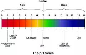 What Is The Ph Of Pineapple Juice And What Is Its Colour On