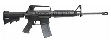 Image result for Tennessee Blue 1989 Colt