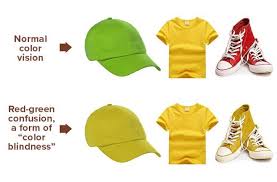 Image result for Color Blindness