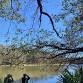 Bird Survey and Nature Hike event image