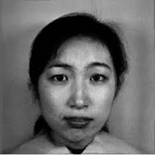 The illustration of the FEC paradigm. Facial expressions ranging from...