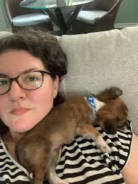 Hysterectomy and hormone replacement therapy experience